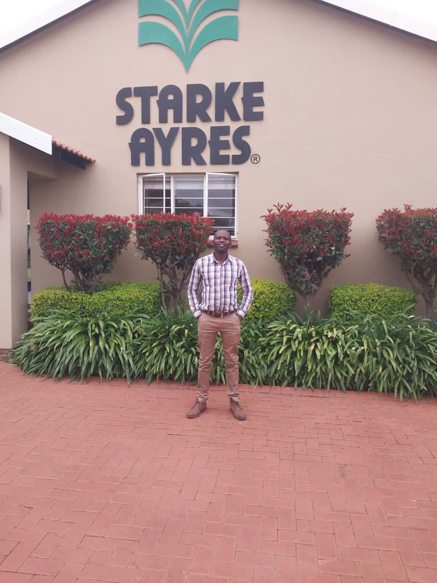 Divah Phiri tweet media