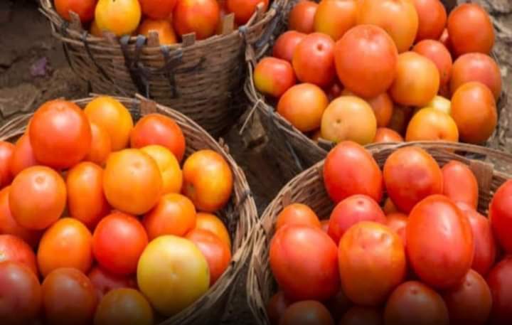 HansrajMeena's tweet image. जिसके भाव बढ़ जाते है उसे गरीब लोग त्याग देते है, चाहे टमाटर हो या जियो। #PortToBSNL #BoycottJio