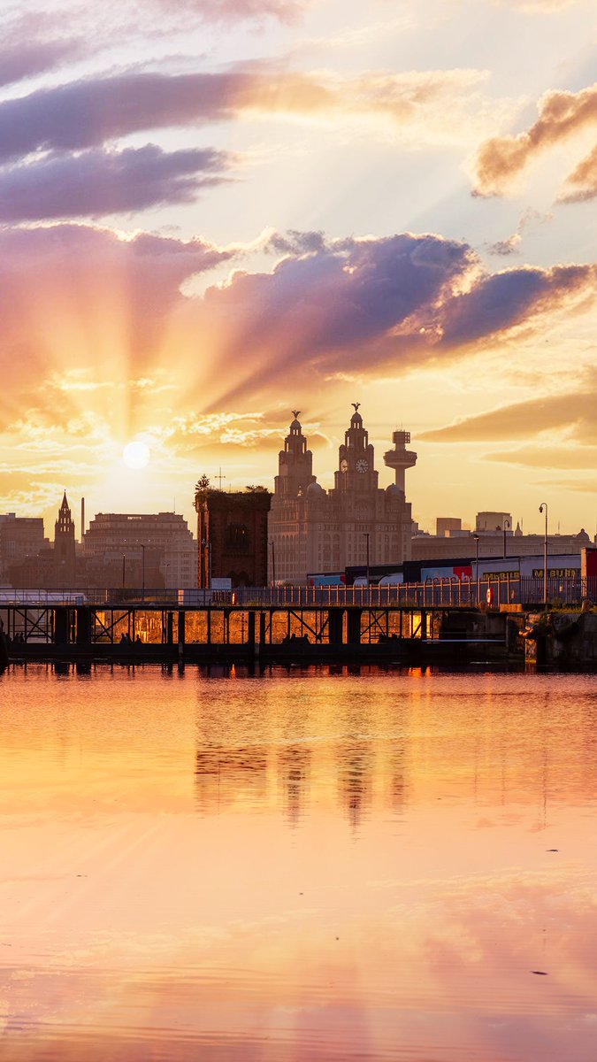 Liverpool Vista tweet media