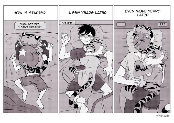 Sleep well everyone  🐯🌙💤 