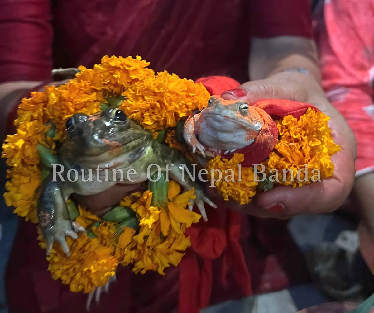 RONBupdates's tweet image. अब रिग्रेट भयो होला नि moment! 
#funpost #rain
