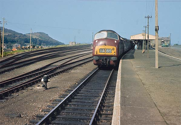 Greg Morse tweet media