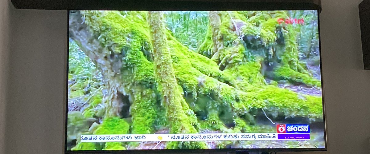 anilkvtweet's tweet photo. @ddchandanabng I didn’t know we have upgraded our #Chandana from Kannada to Kanglish channel…
Wasn’t expecting this sort of upgrade from Government owned regional #TV channel! As its primary duty is to cater to local audience who don’t even know any language apart from #Kannada https://t.co/UdjNlP4t3R