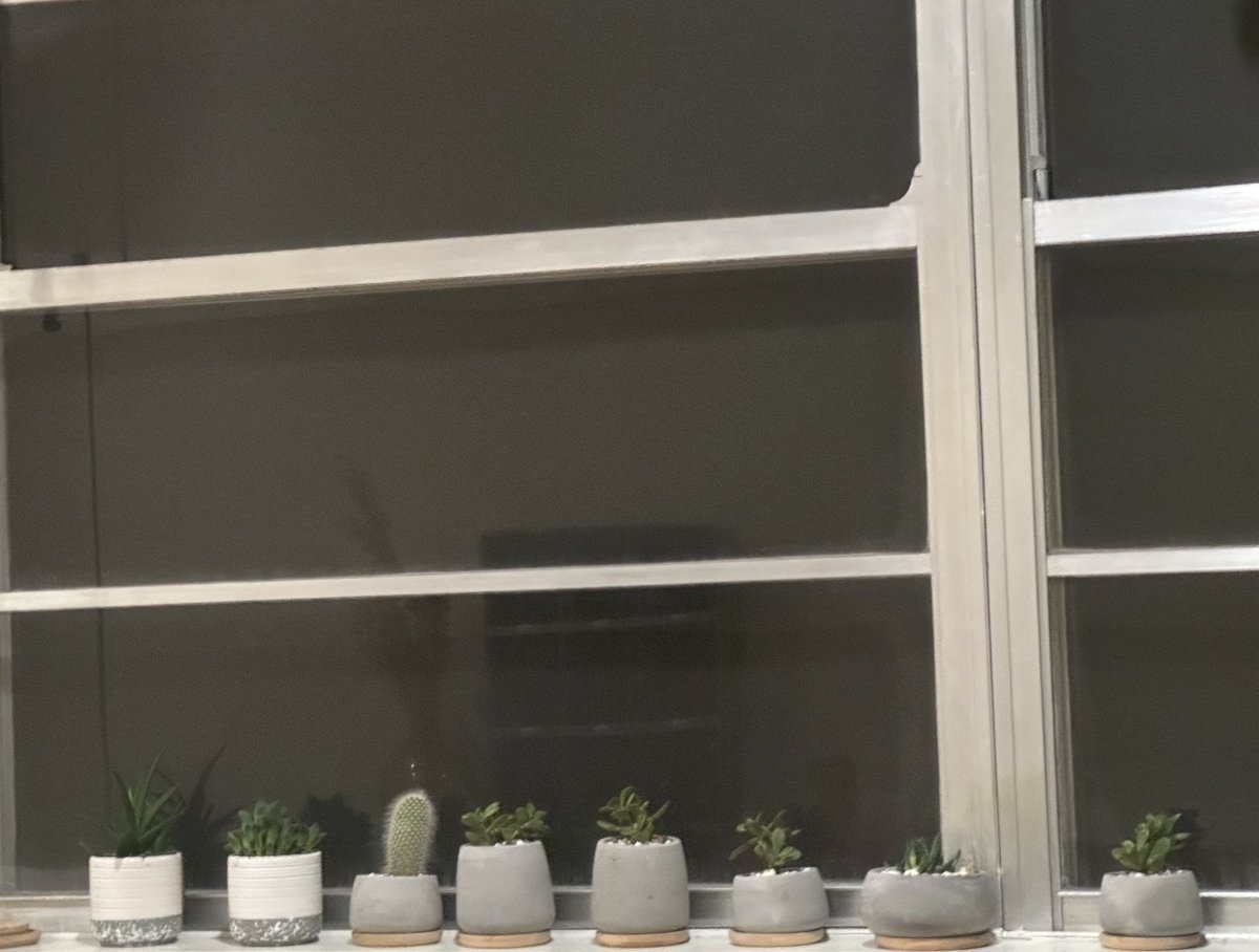 The perfect guest room window: