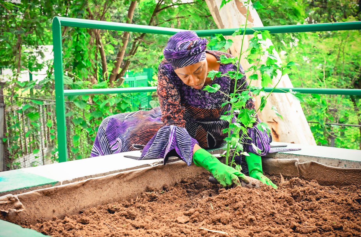 yabaleftonline's tweet photo. “I would like to encourage all Nigerian women to get involved in farming and food production” — First Lady, Remi Tinubu after tending to the vegetables she planted in her garden. https://t.co/wRbLb31hXC