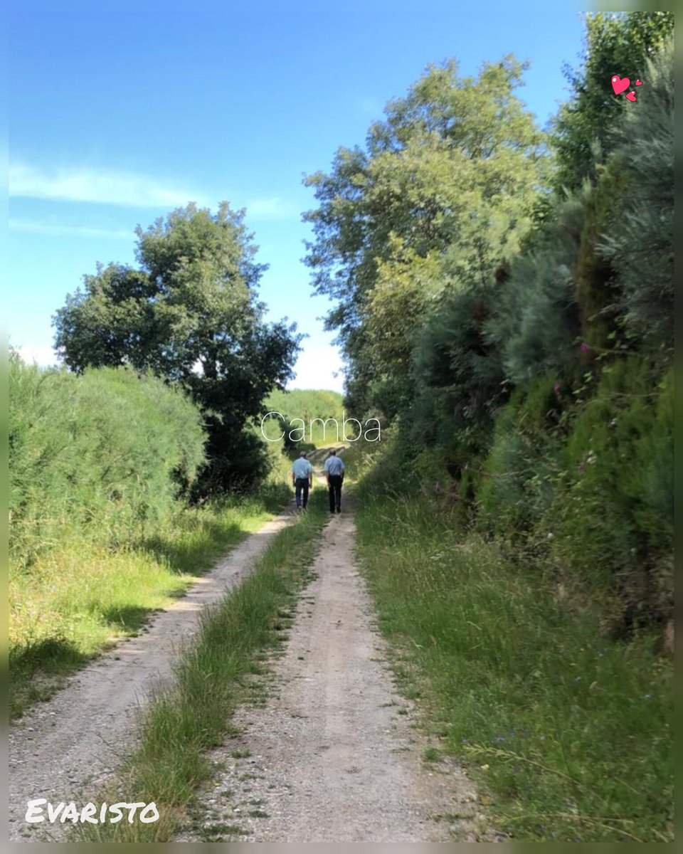 pueblodecamba's tweet photo. Compañeros de caminos...
#cambaelpequeñoparaiso

 #salvemosomonte #soydepueblo #parati #caminos #weg #μονοπάτι #sentiero #path #パス #chemin #נָתִיב  #caminho #шлях #iter #vojoj #paz #frieden #ειρήνη #pace #peace ＃平和 #paix #שָׁלוֹם  #мир #pax #pacon #verano #sommer https://t.co/vKv1KRB28s