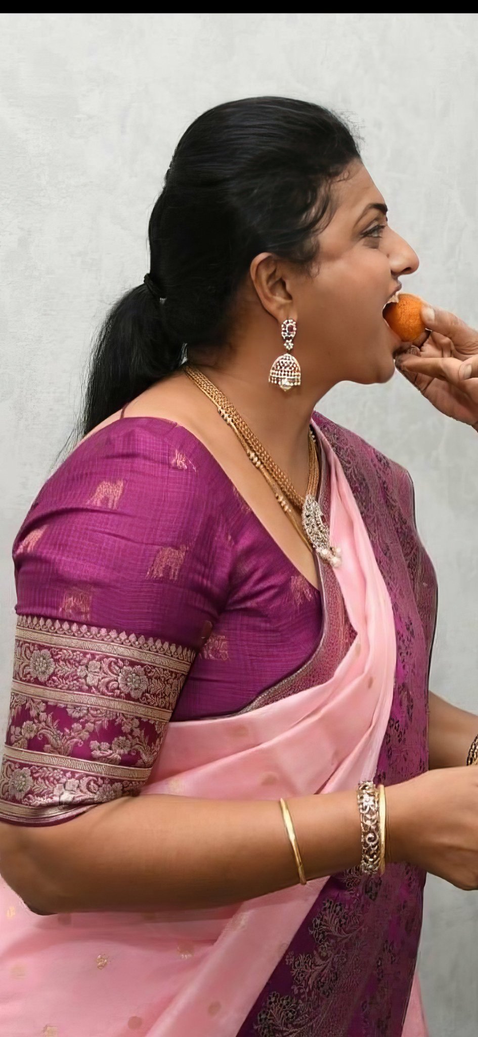 Roja Selvamani Biography TV Shows, Husband, Age, Net Worth, Daughter iiQ8