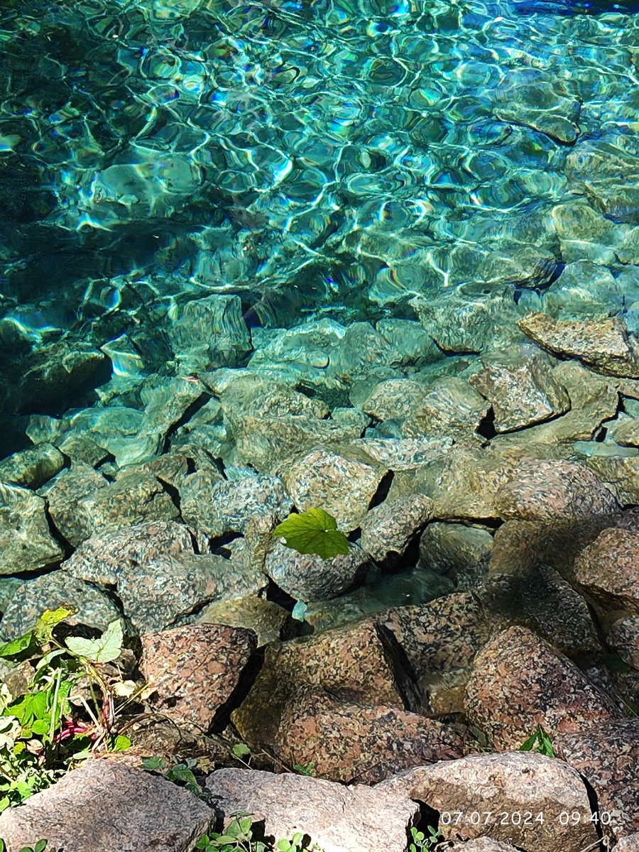 ахуеть, че происходит.. (@black_sun1230) on Twitter photo 