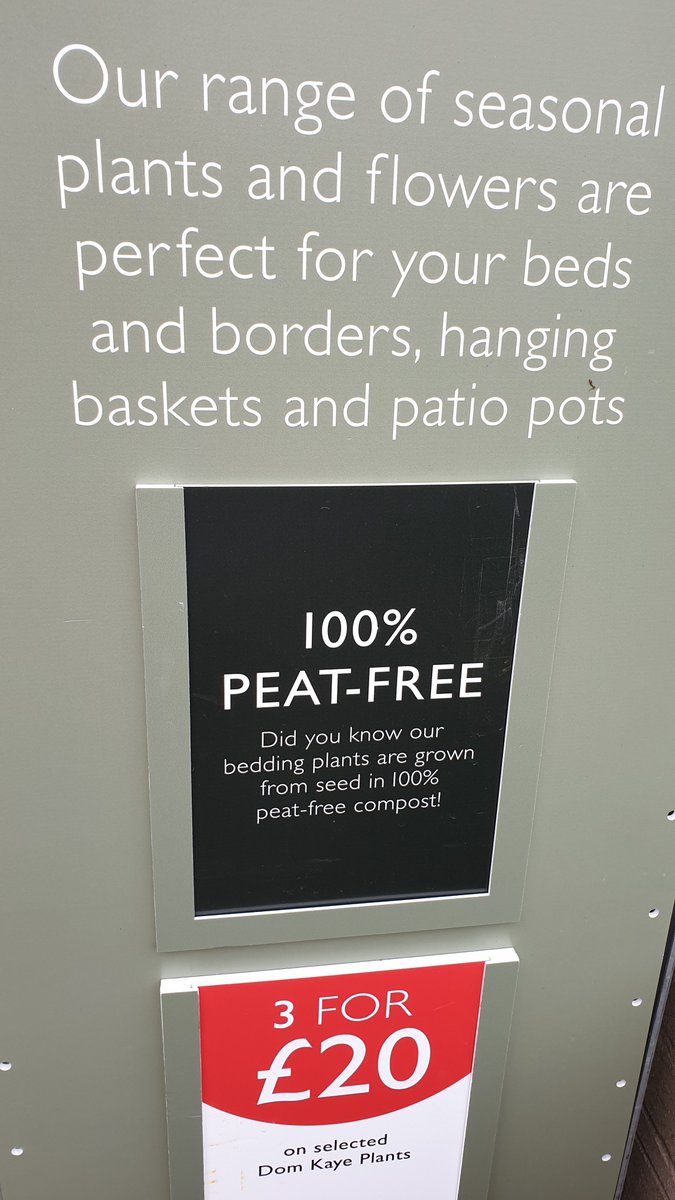 Beth Otway (Pumpkin Beth) 🌱 tweet media