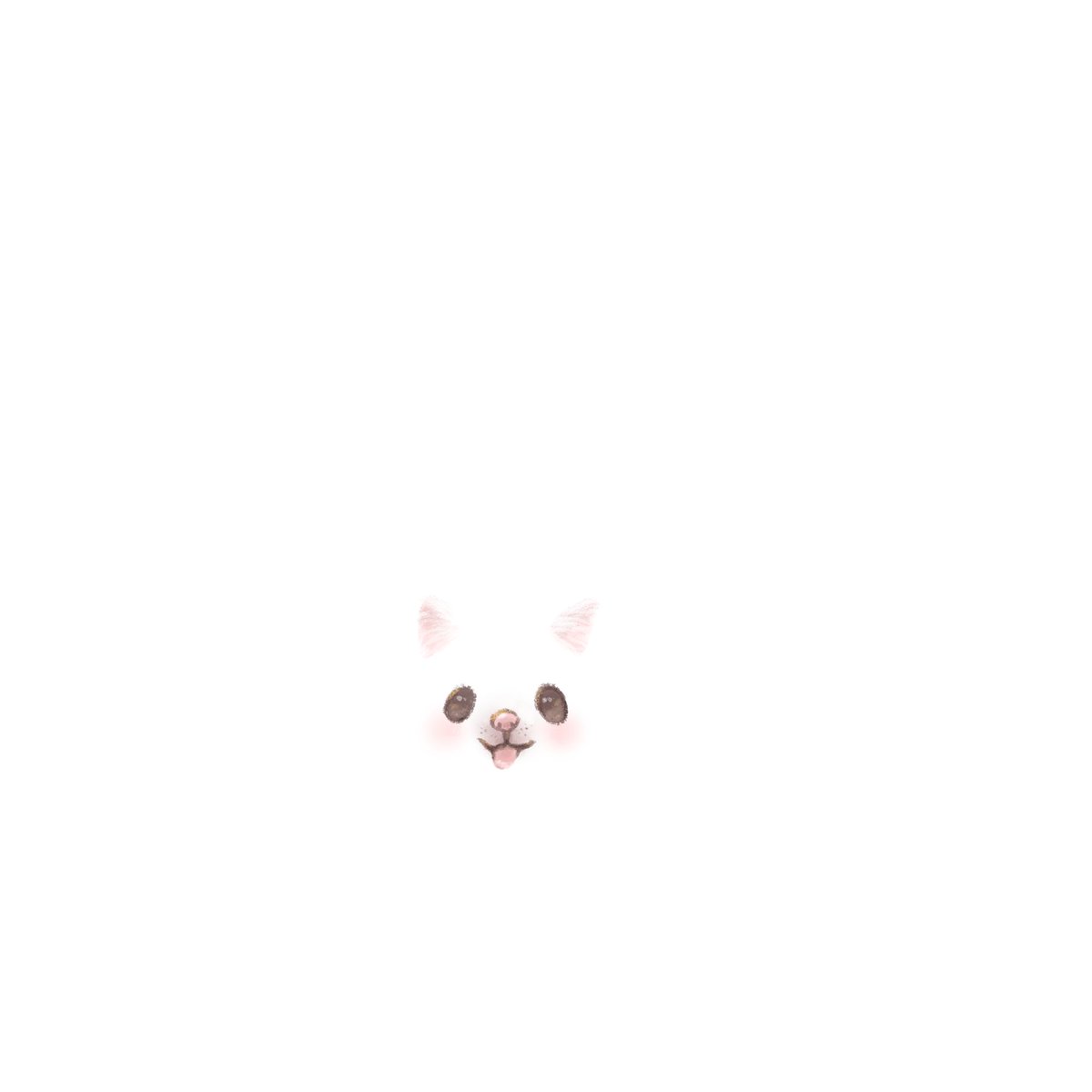 Pomeranian in snow