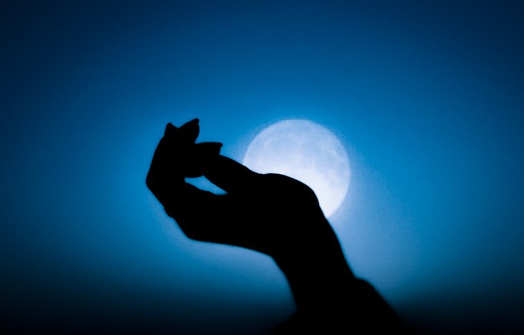 誰かの願いが叶うころ