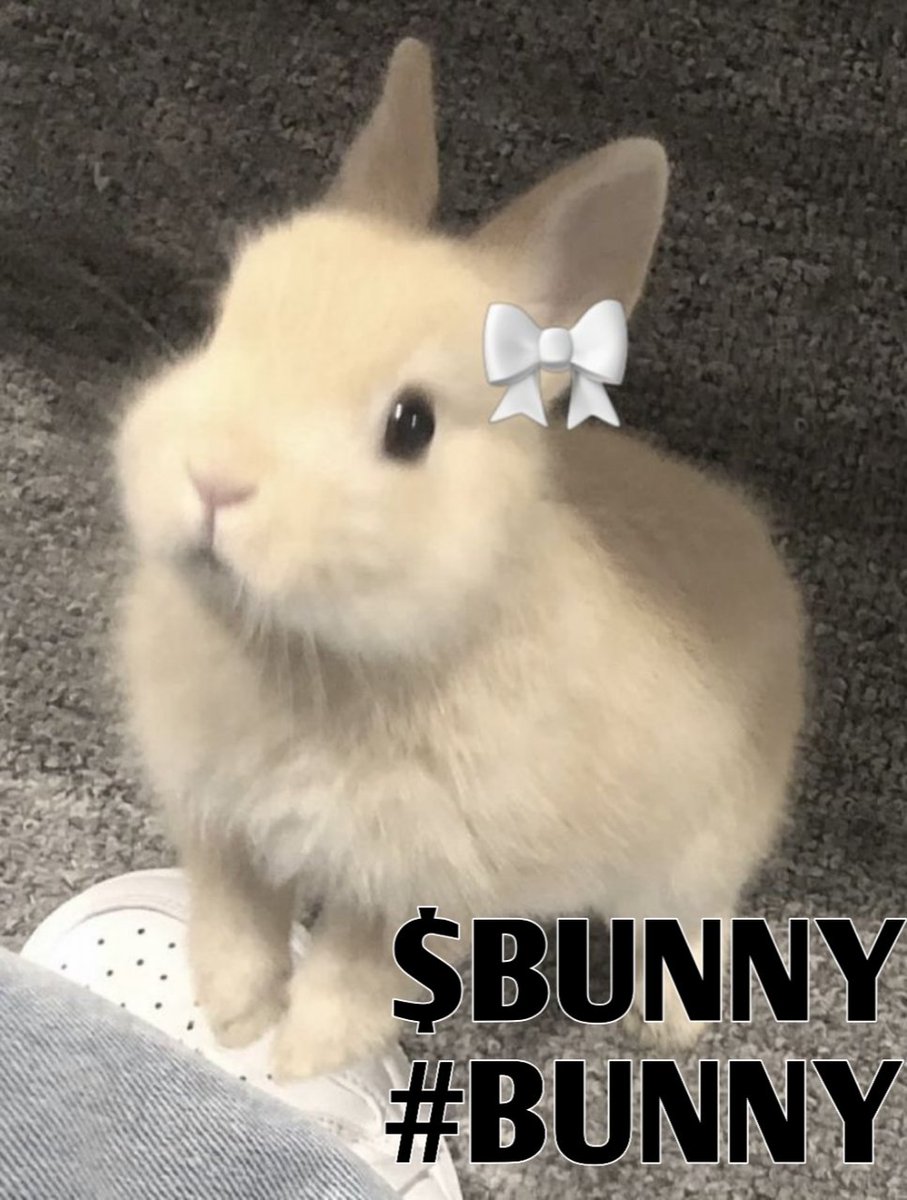 cryptohunt666's tweet image. @IDOsolme @RonaldsDog 

$BUNNY $BUNNY to the moon.
#idosolme