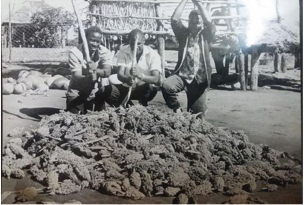 In 1984, the Government of Zimbabwe used food as a political and military weapon of coercion, torture, punishment, and death against the Ndebele people of Matabeleland South. The deprivation of food supplies, which formed a significant element of this state campaign, deliberately