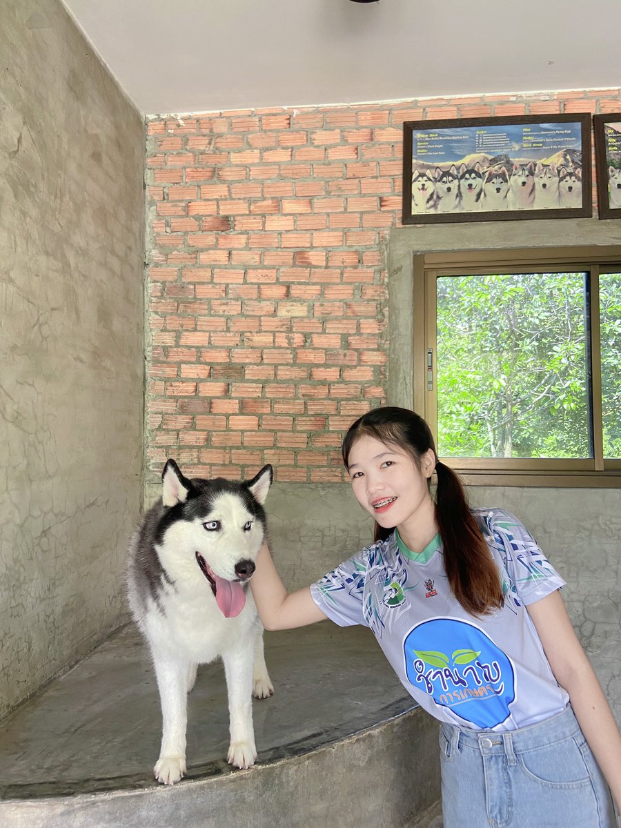 ฮาวไวน์🍷🦋 tweet media