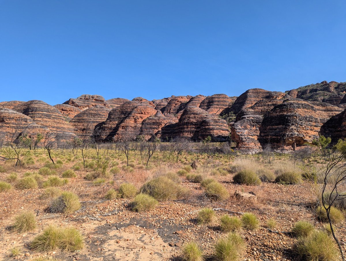TMFScottP's tweet photo. The glorious Bungle Bungles

#goongetoutthere https://t.co/14BmarTtVj