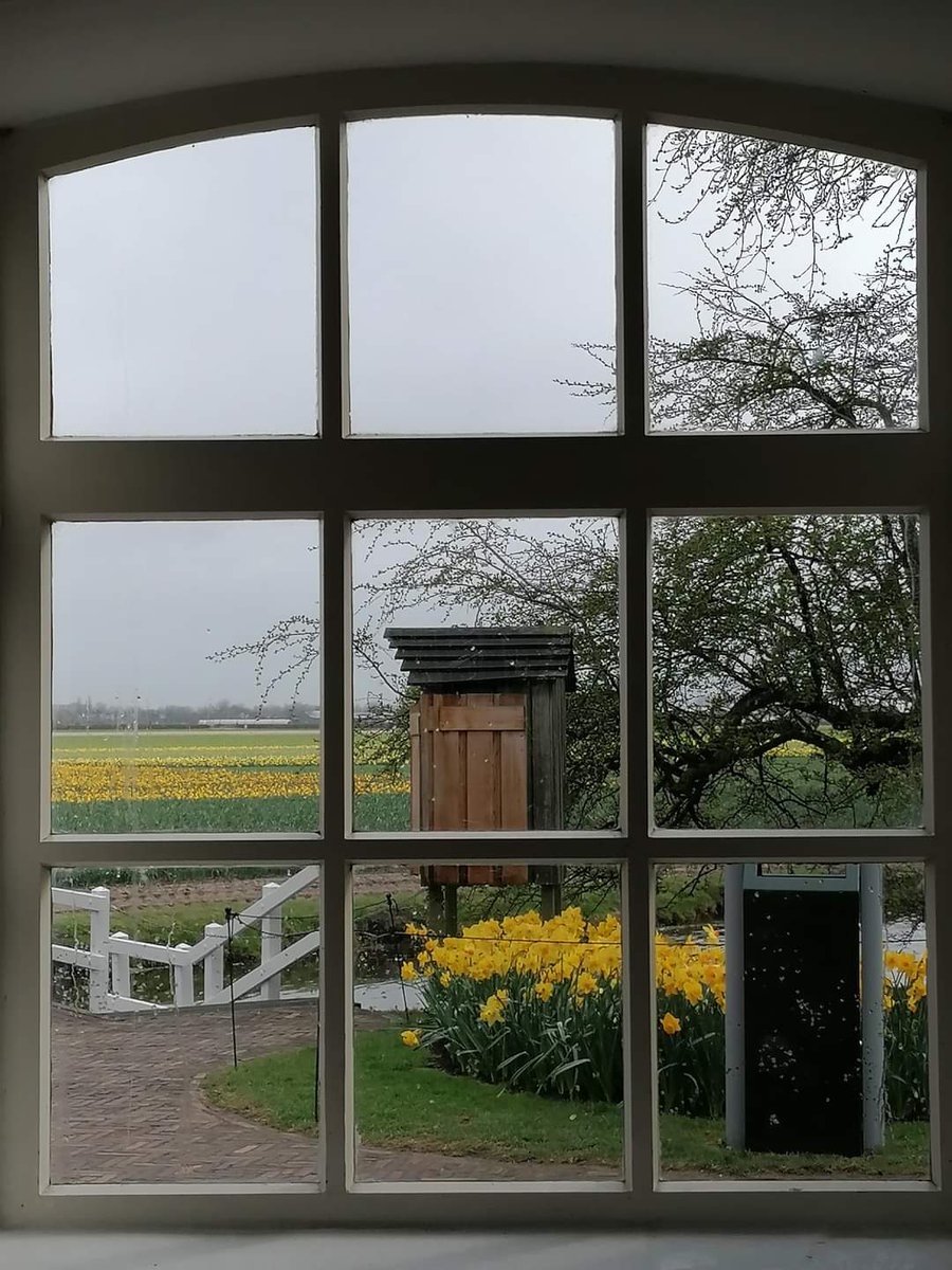 skymanuelima's tweet photo. Keukenhof ("Quintal da Cozinha"), também conhecida como o Jardim da Europa, situada perto de Lisse, nos Países Baixos, é o maior jardim de flores do mundo. #parque #Keukenhof #PaísesBaixos #Holanda #travelphotography #viagens #FotógrafoAmador #Tulipas https://t.co/IjIBJCYkvb