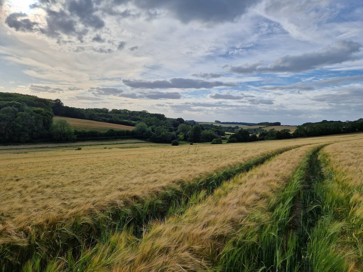 BootsOnAdventu1's tweet photo. Last Thursday, our group explored the charming village of Bredgar. πΏβ¨ Known for its picturesque scenery and quintessential English countryside charm, Bredgar is nestled in the heart of Kent. π‘π³ #Bredgar #Kent #CountrysideCharm #RuralEngland #GroupWalk #HistoricVillage https://t.co/N4oGUmdysN