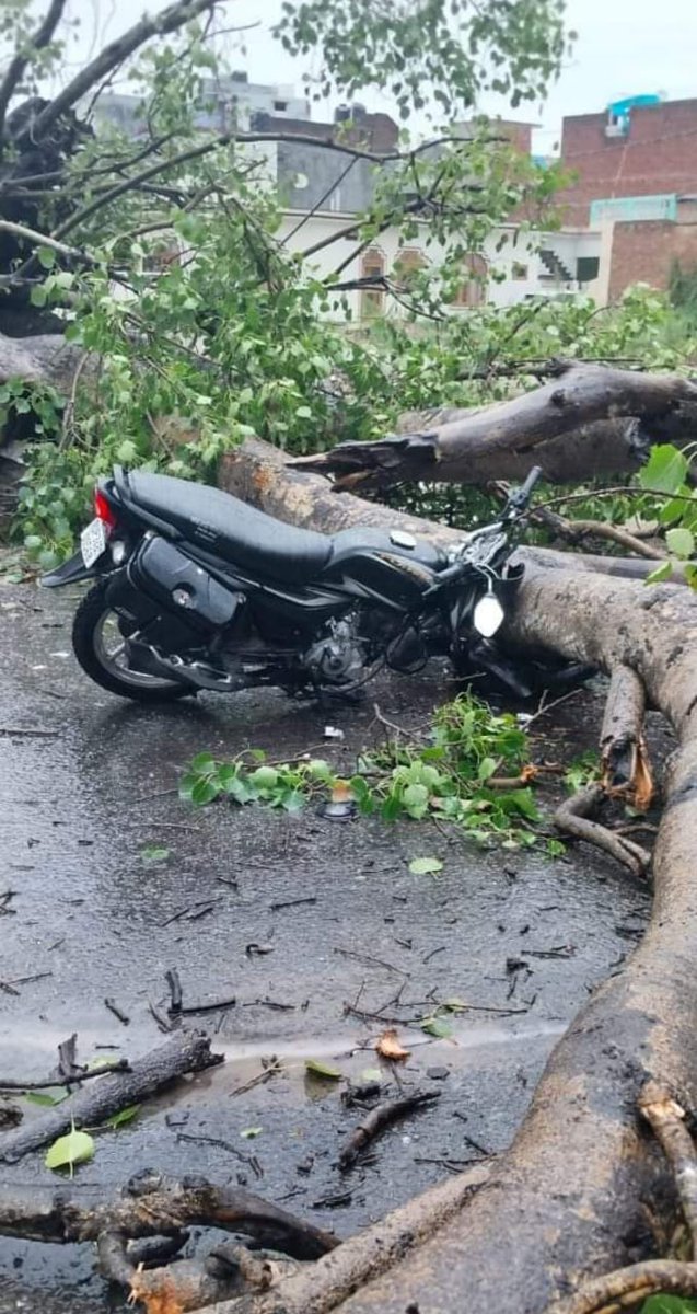 *रास्ते क्रिटिकल*
*हाजिरी डिजिटल।।*
नहीं लगेगी, नहीं लगेगी।।

 #boycottऑनलाइनहाज़िरी
#BasicEducation
#UpBasicSchool
1. 15 CL 
1. 15 हॉफ CL
2. 30 EL
3. राज्यकर्मचारी का दर्जा
4. 30km की परिधि में हर किसी को विद्यालय
5. कैशलेस चिकित्सा सुविधा परिवार सहित
6. प्रमोशन
7. पुरानी पेंशन