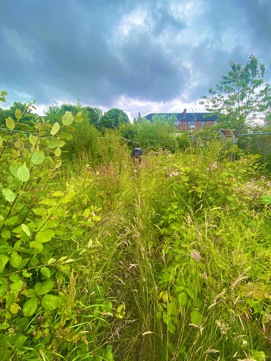 Clyde Classic tweet media