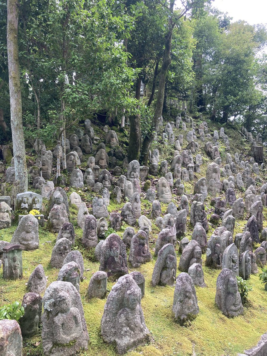 SemiAuto's tweet image. 