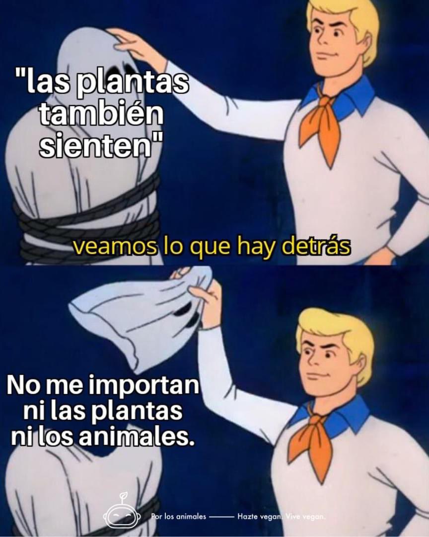 Buenos días a los defensores del brócoli.