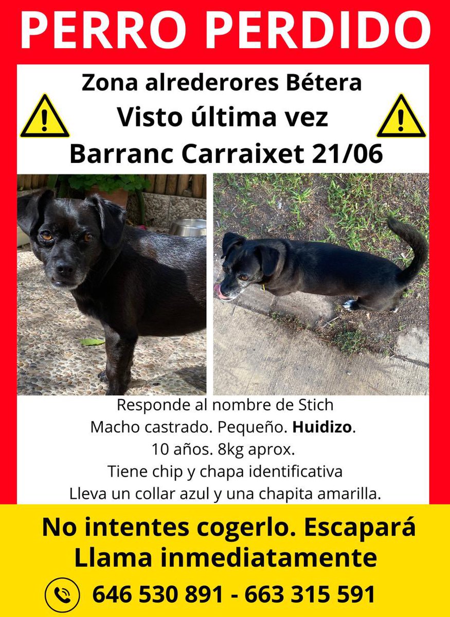 Beamenaya's tweet photo. @ruben_prz VALENCIA

🆘Hola… llevamos 22 días sin parar de buscar a Stich… y seguiremos hasta encontrarlo 

Nuestro perrito que se les escapó de la residencia canina (en Náquera) donde lo dejamos por vacaciones unos días

Última vez visto en alrededores de Betera 

🙏ayuda para difundir🙏 https://t.co/WqfQX11L3F