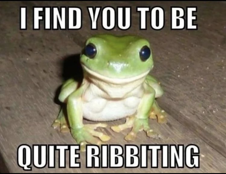 LovelessSTNY's tweet photo. a rare morgab sighting!!! πΈπ₯° @_morgab_leanne_ #frogqueen #ribbits4loveless (i miss that hashtag) https://t.co/P7tZqrq3li