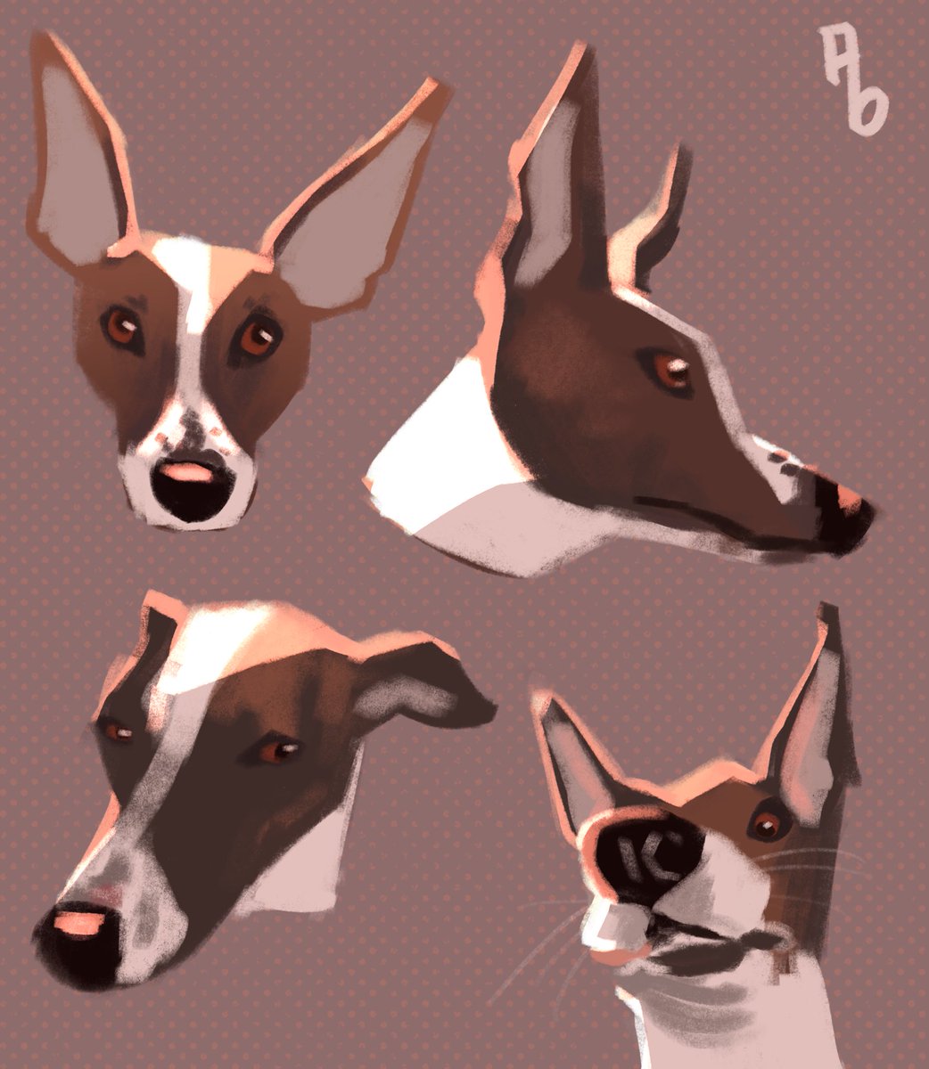 Biccie doodles