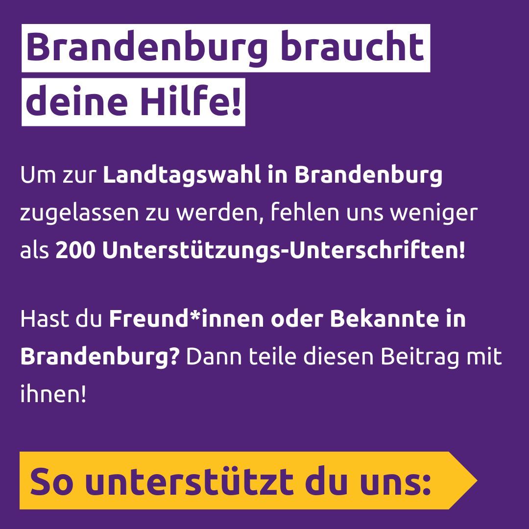 Volt Berlin tweet media