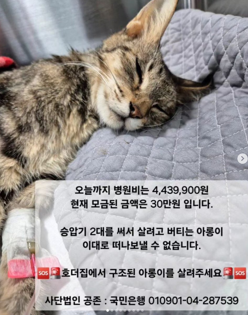 (❤️RT❤️이벤트) 공존 쉼터에 후원이 절실합니다.  알티 해주신 분 중 추첨해서 배민 3만원권 기프티콘을 드릴께요. 당첨 발표는 1주일 뒤로 하겠습니다. 알티 많이 부탁드려요. 저는 주기적으로 봉사와 정기후원을 하려고 합니다~ 쉼터 소장님도 너무나 아이들을 아끼고 사랑하는 모습이 보이고