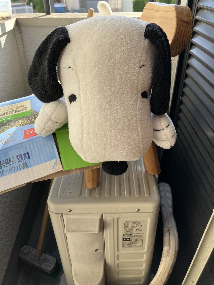 snoopy20211's tweet photo. 外は暑いですが、スヌーピーはお洗濯。早く乾いて欲しいな。 https://t.co/vVMTvFrbxu