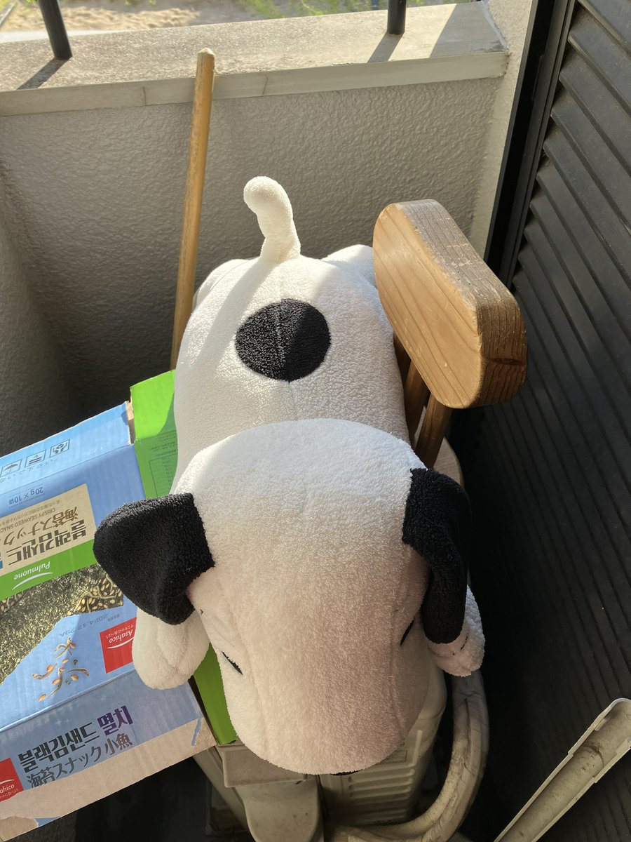 snoopy20211's tweet photo. 外は暑いですが、スヌーピーはお洗濯。早く乾いて欲しいな。 https://t.co/vVMTvFrbxu