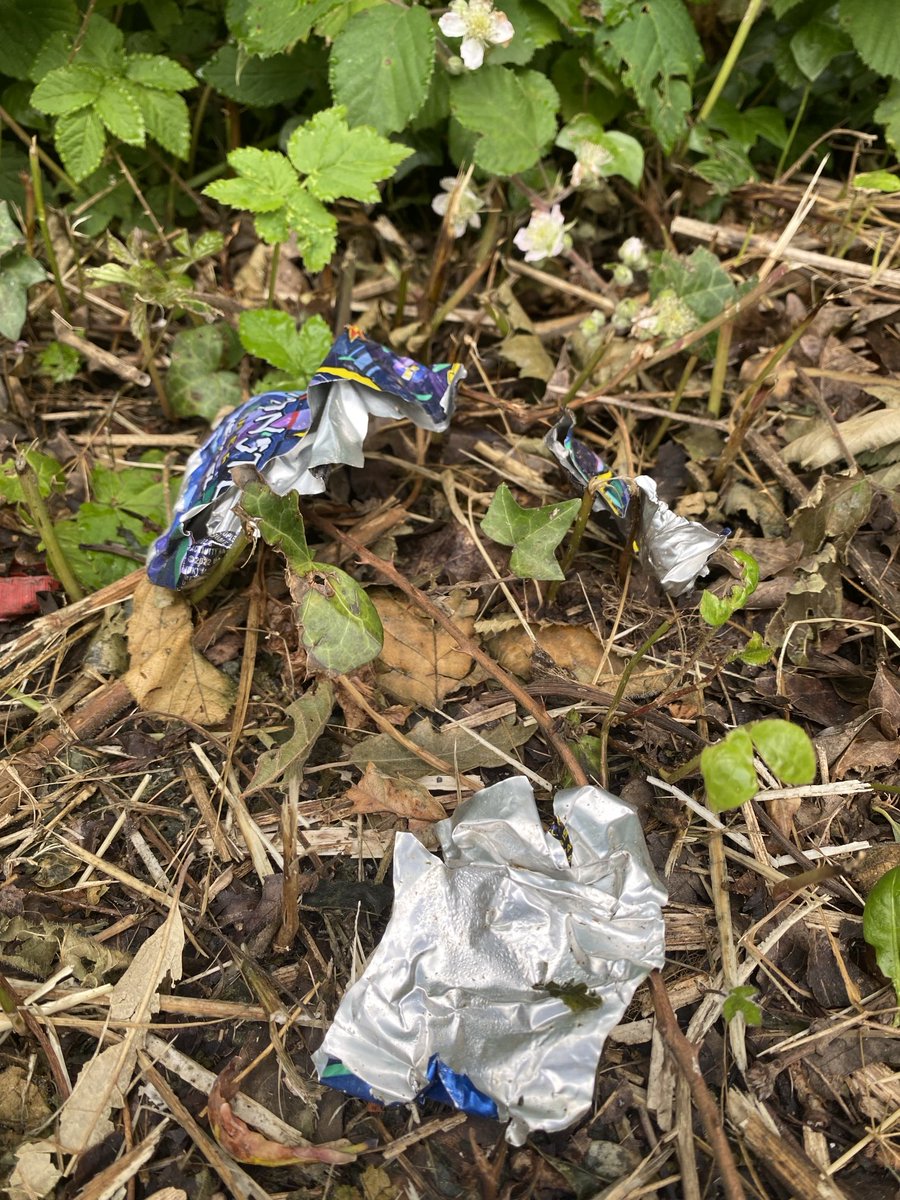 Sliced cans winning by a landslide this week. Vapes losing their deposit. #henleylitter