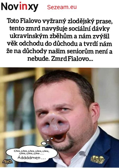 Obrázek