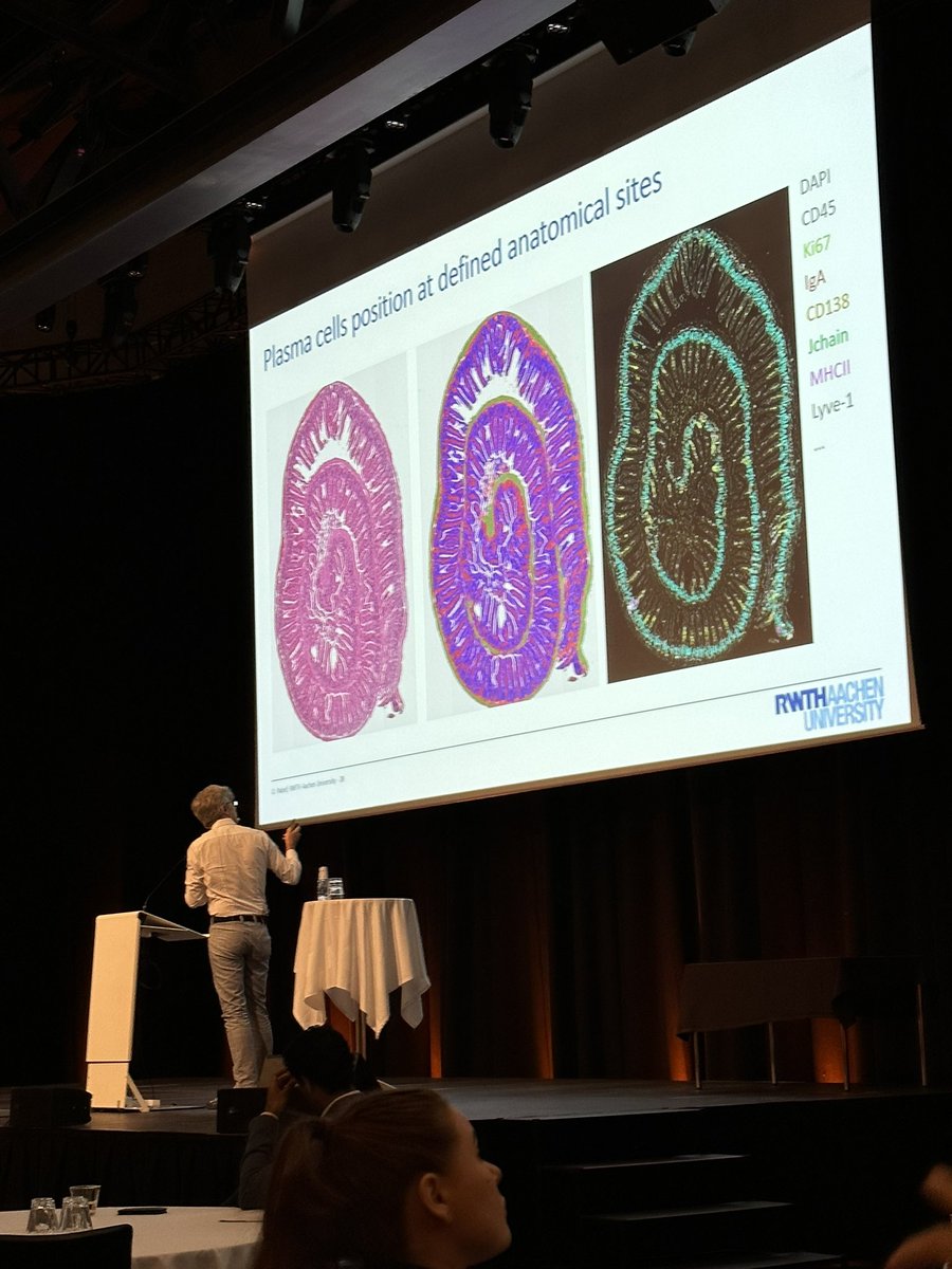 Mindblowing talk by Oliver Pabst at #ICMI2024 about the generation, location, clonality of gut plasma cells - everything everywhere all at once! 

#IgA #plasmacells #ingutwetrust