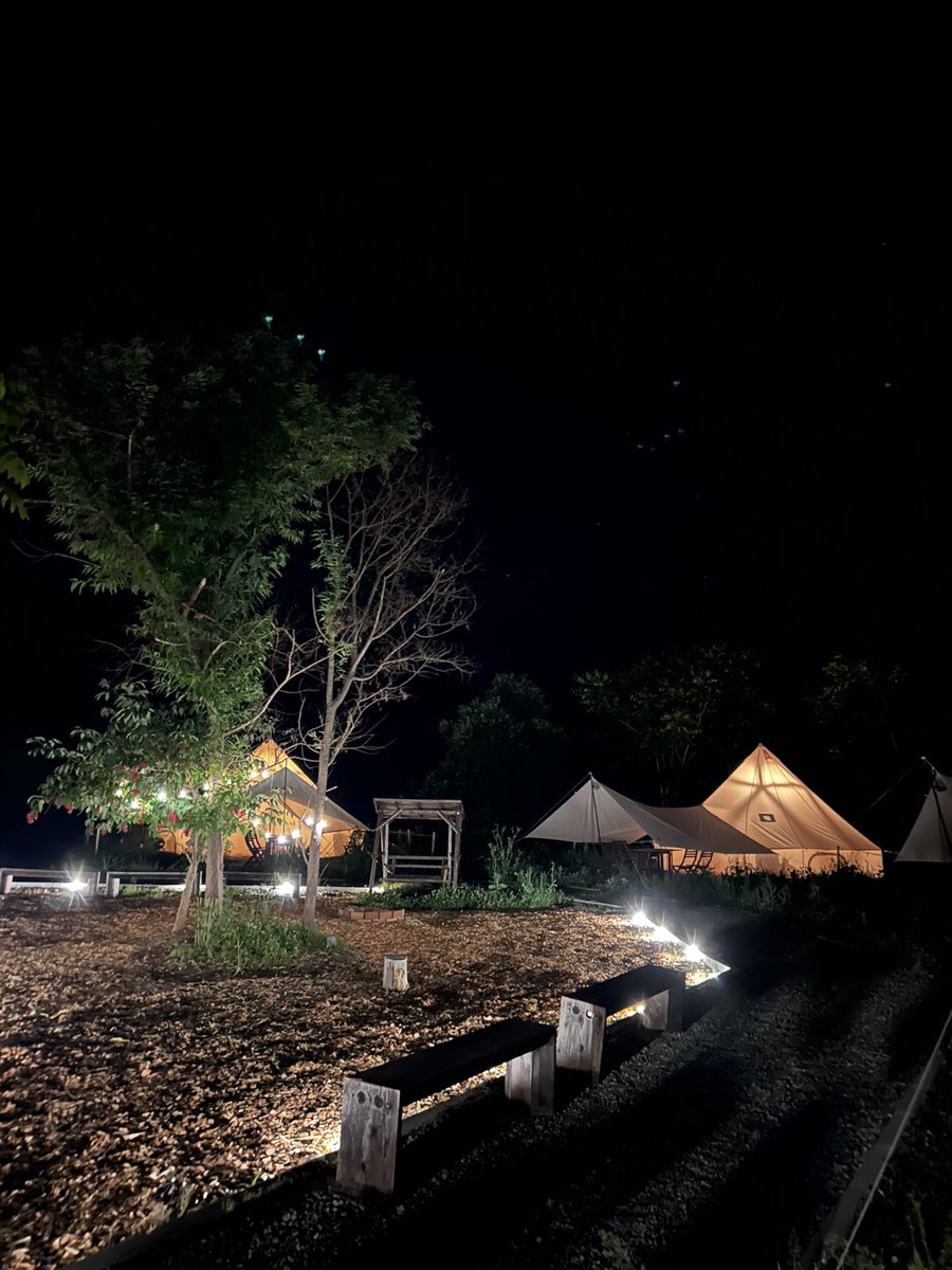Roots_Wedding's tweet photo. ファームウェディング撮影の後は
グランピング！
余市にオープンしたヴィンヤードグランピング
テントの中のベッド寝心地最高だし
BBQと余市産のワイン、ウィスキー、ぶどうジュースなど
フリードリンク🍷
朝食は美味しいパンと温かいスープに癒され。
宿泊とウェディングフォトのプラン作成中です👗 https://t.co/auqEvPZ2zS