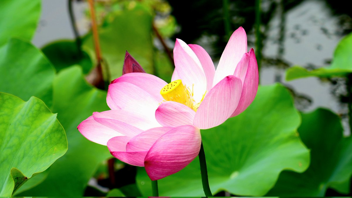 7월7일
초막골에서