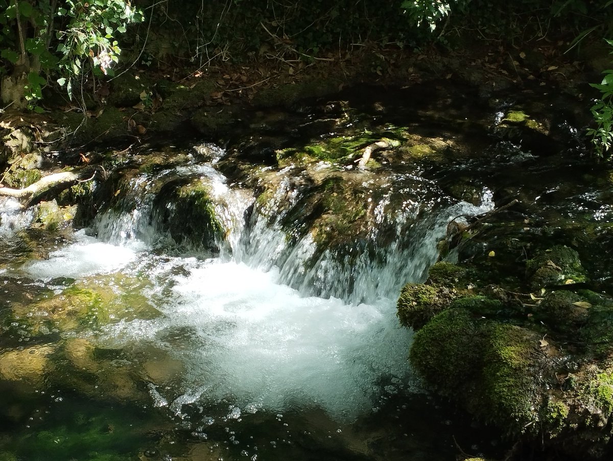entreorzaygamon's tweet photo. El agua. #Rio #Huecar una mañana de Julio. https://t.co/sA4bDfOmcS