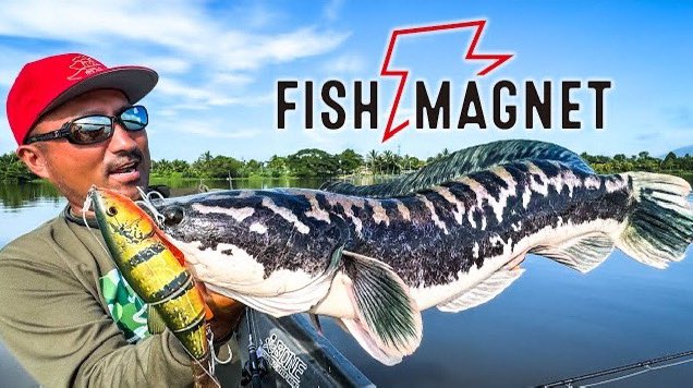 hatatakuma's tweet photo. はたまた
本日の生配信

遂に動き出します

秦拓馬のルアーブランド『FISH MAGNET』始動！七夕ＳＰ生配信！ https://t.co/Dutwyv9fYJ https://t.co/Rkmq0NlbOK