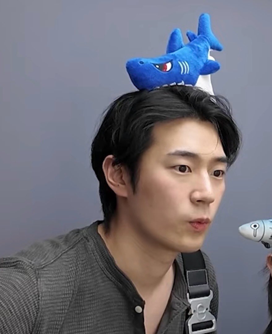 hamttuam's tweet photo. 왕자 여며 서함시🦈 https://t.co/VKuQ0ah41r