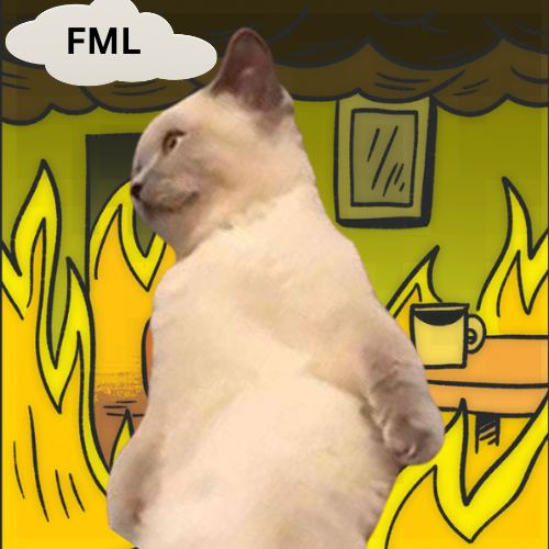 SamCryptoX's tweet photo. @WallStreetSilv Germany down, $FML up https://t.co/7q65bka3yR