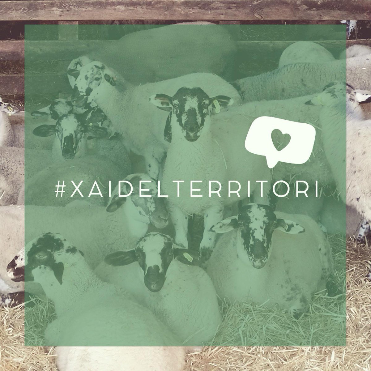 Vols donar un cop de mà a pastors i pastores que passen una situació difícil? Ara és la teva. 💪🏻 Fil 🧵