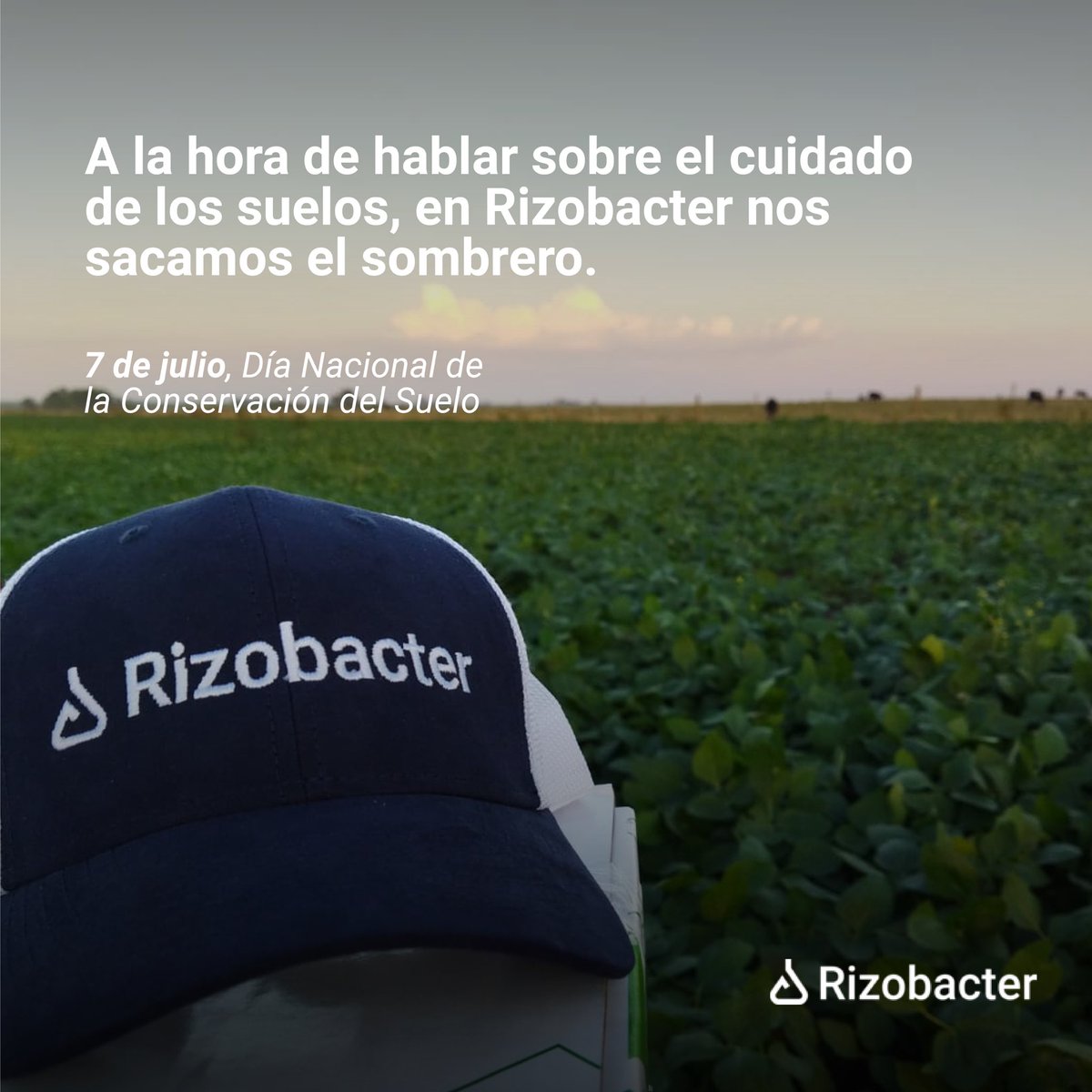 Rizobacter Uruguay tweet media
