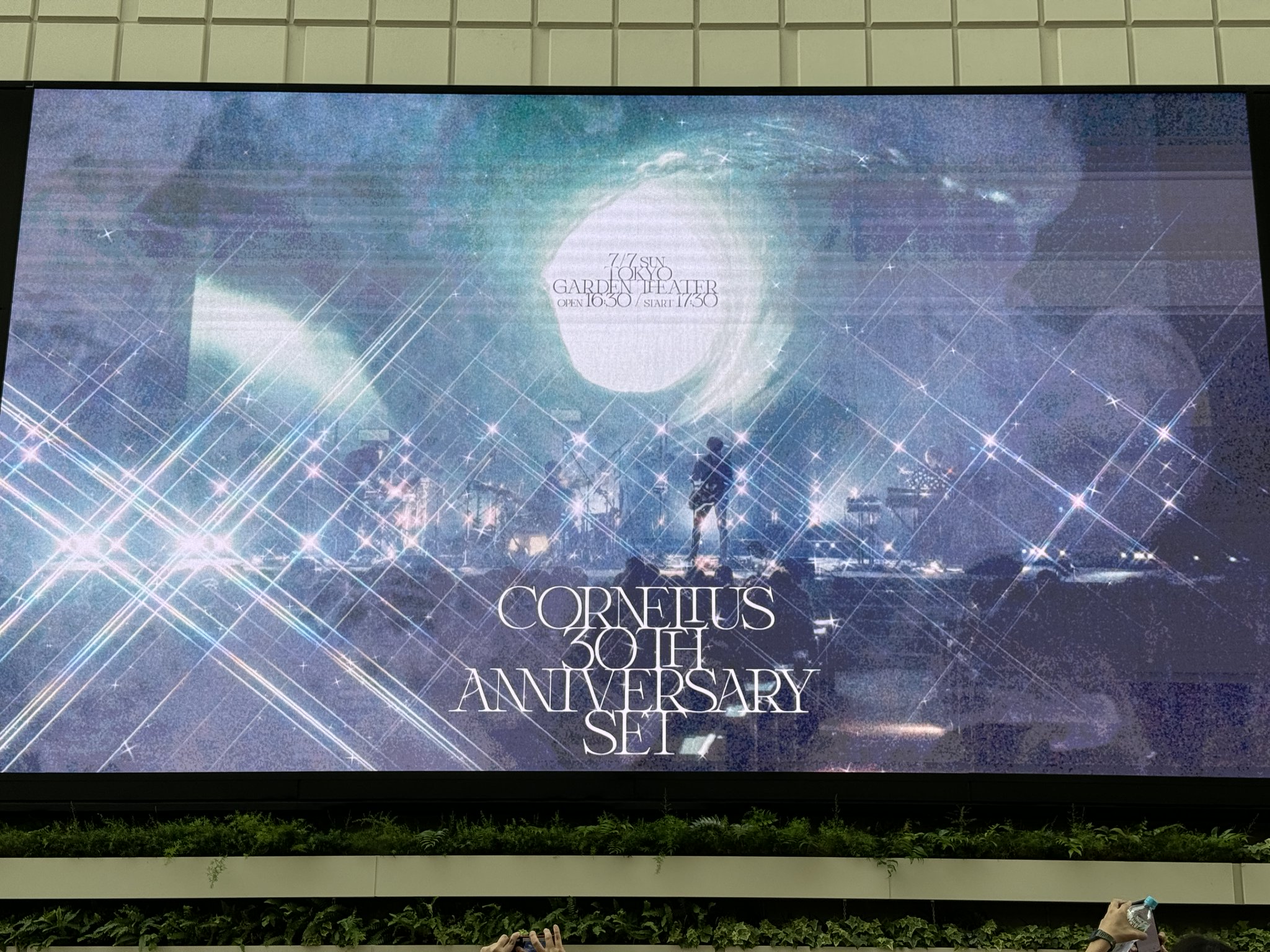 コーネリアス 30th パンフレット （コーネリアス「30th