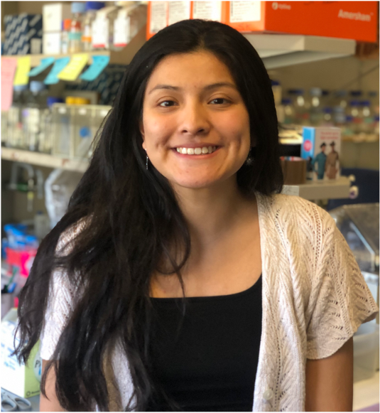 Anne-Laure Bulin tweet media