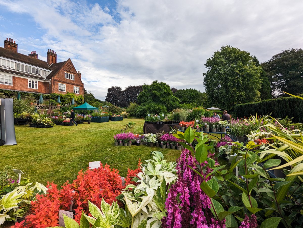 It's just one week today until @rareplantfair comes to Winterbourne House and Garden🤩 Join us on Sunday 14 July for a day of plant shopping, garden wandering, and tearoom sipping🌵🌷☕

📍 Winterbourne House and Garden
📅 Sunday 14 July, 10:30-4:30