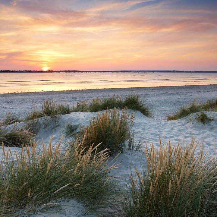 Beautiful Barafundle is the best beach in the UK according to Rough Guides, and it's right on our doorstep.
(Plus a bucket &amp; spade load of other stunning beaches too) bit.ly/4dZD3r7