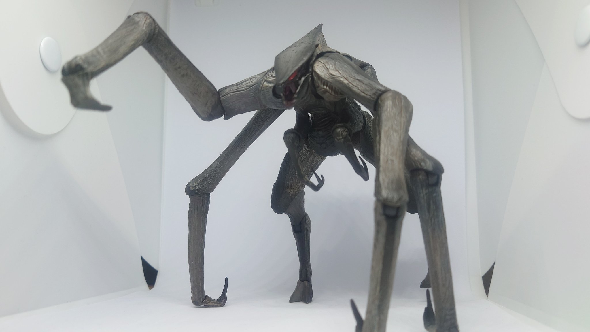 TAMA 洋画全般 on X: 