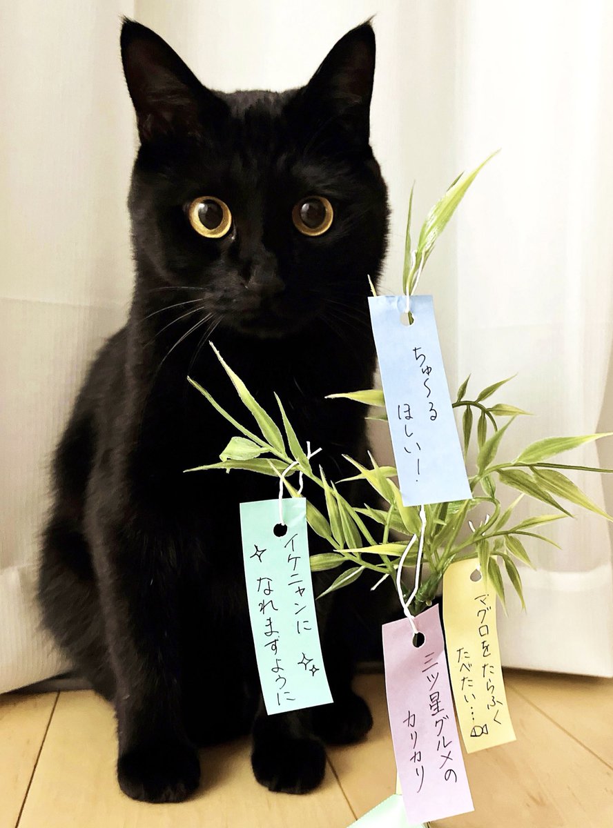 うに3才 tweet media