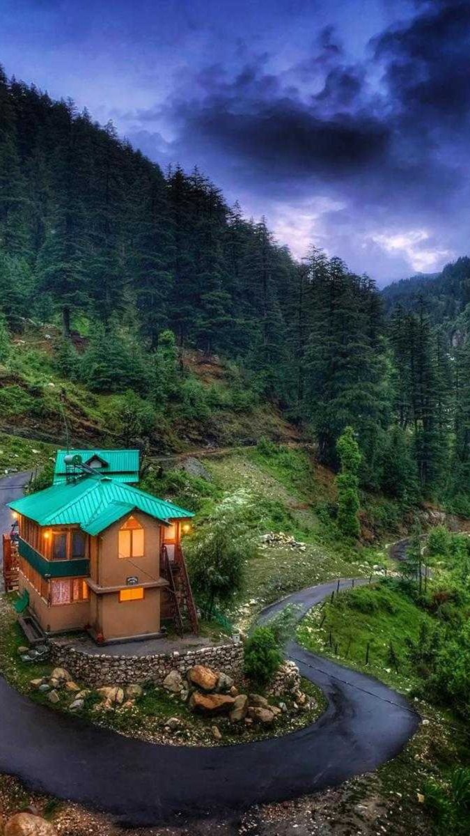 #InPics : Best Jungle Resorts To Visit In Madhya Pradesh For A Monsoon-Perfect Weekend
#MadhyaPradesh #Vacation #Monsoon #travelphotography 

freepressjournal.in/ampstories/bho…